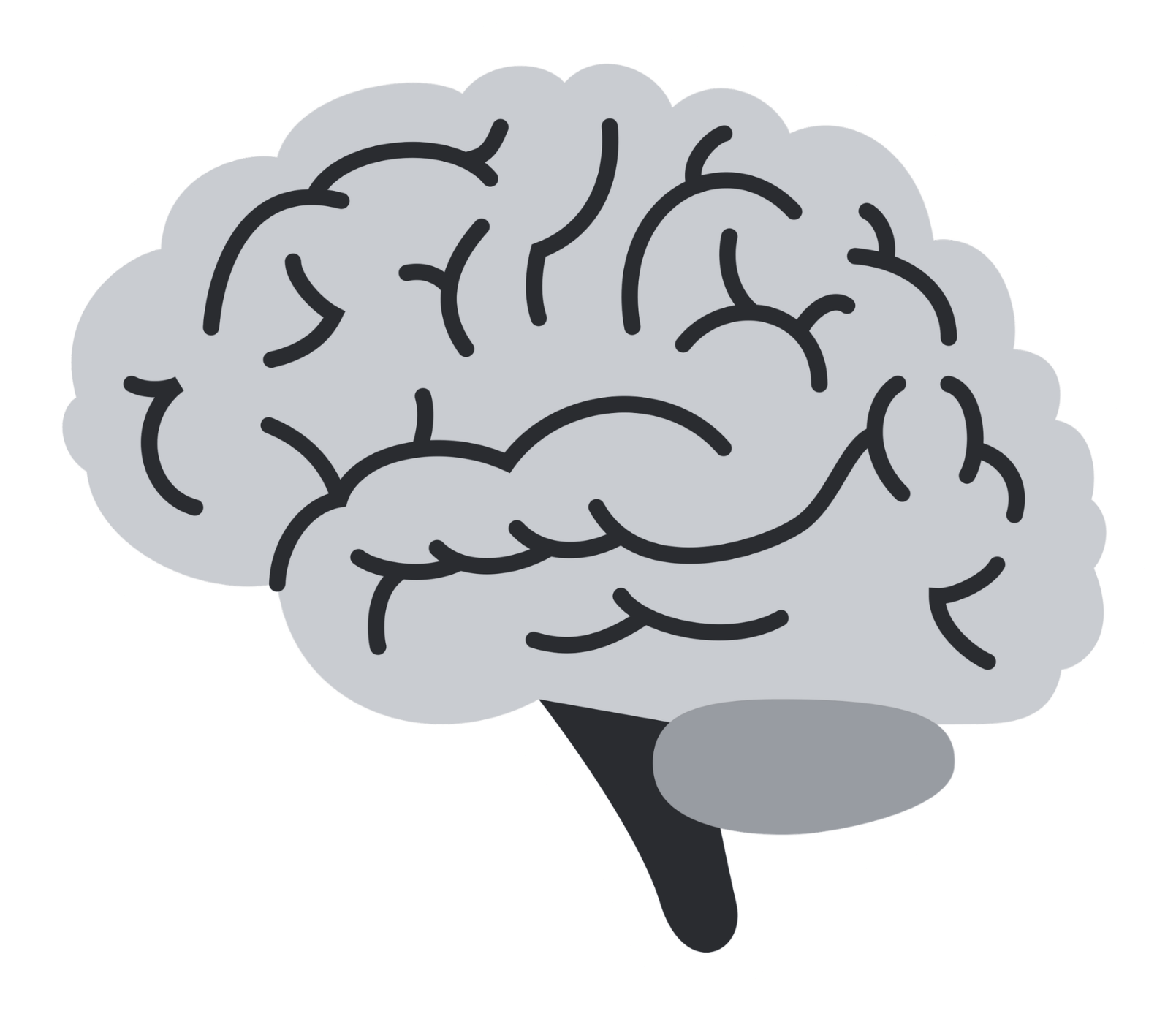 brain